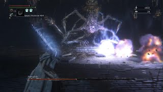 Bloodborne  Defiled Chalice Amygdala [upl. by Disario]