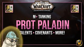 PROTECTION PALADIN Shadowlands M Indepth Guide 90 [upl. by Rafter]