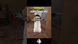 100 hours vs 5000 hours in CounterStrike cs2 csgo csgoclips csgomemes counterstrike [upl. by Southard]