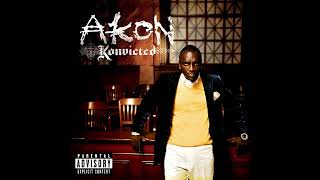 Akon  Smack That featuring Eminem Audio [upl. by Leiru]