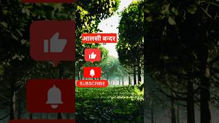 Aalsi Bandar आलसी बंदर🐒🐵 aalsibandarki kahani cartoon hindistories shorts trending [upl. by Elleved]