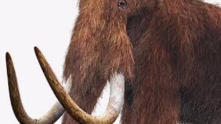 Woolly Mammoth Trumpet 🐘 🔊 [upl. by Perni]