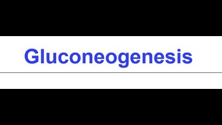 Gluconeogenesis I Formation of glucose from non carbohydrate substrates [upl. by Filip]