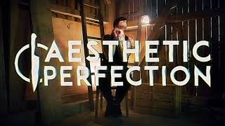 Aesthetic Perfection  Self Inflicted Official Lyric Video [upl. by Ynaffit102]