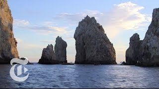 What to Do in Los Cabos Mexico  36 Hours Travel Videos  The New York Times [upl. by Vivien]