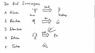 Sinnesorgane als biologische Sensoren  Physik  Sek I  Lernvideo [upl. by Hillie]