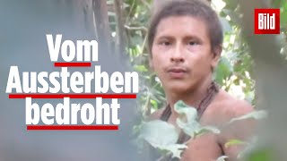 Isoliertes IndianerVolk im AmazonasGebiet gefilmt [upl. by Kilar178]