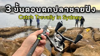 3 ขั้นตอนตกปลาชายฝั่งทะเล สุดปัง Catch Trevally in Sydney [upl. by Rinum]