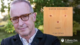 Calypso by David Sedaris Audiobook Excerpt Shopping in Tokyo [upl. by Yatnwahs]