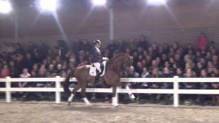 Estoril kwpn  Zhivago X Gribaldi  Stallion Show Van Uytert 2014 [upl. by Ilesara]