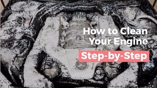 A stepbystep guide to cleaning any engine bay [upl. by Polish]