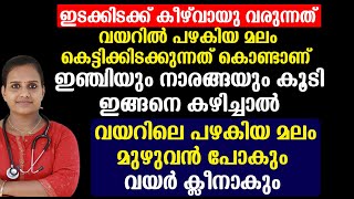 ഇഞ്ചിയും നാരങ്ങയും കൂടി ഇങ്ങനെ കഴിച്ചാൽ വയറിലെ പഴകിയ മലം മുഴുവൻ പോകും വയർ ക്ലീനാകും  Healthy Tips [upl. by Ardnohs]