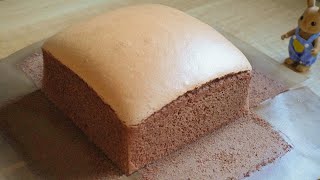 The Ultimate Jiggly Chocolate Castella Cake Recipe [upl. by Necila]