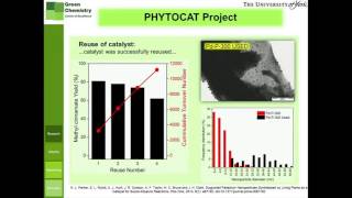 Case study phytoremediation [upl. by Marcellina428]