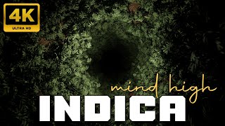 INDICA Mind High Music  WARNING  Intensely Relaxing Weed Effects Animated Video NO ADV 432Hz [upl. by Habas641]