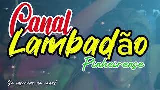 🇱🇷CANAL LAMBADÃO PINHEIRENSE I Spent 30 Days Dancing to LAMBADÃO PINHEIRENSE Heres What I Learned [upl. by Keiryt822]