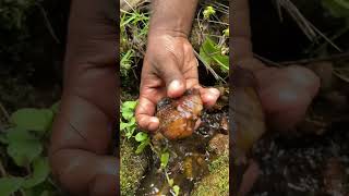 Finally GOT Mahogany Obsidian🥵😱 gem gemstone gemstones gemstone gems preciousgem crystal [upl. by Eileen]