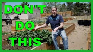 Lessons for Beginner Gardeners 9 Tips [upl. by Jolene]