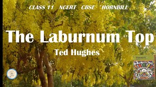 The Laburnum Top  Ted Hughes  class 11  Hornbill  NCERT  CBSE  in Tamil [upl. by Nara165]