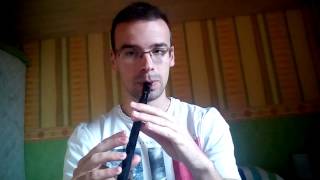 APPRENDRE MORISSON JIG tuto tune [upl. by Casie492]