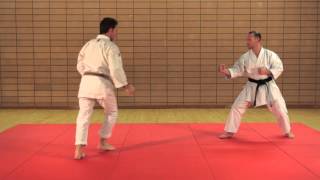 KARATÉ EXPERT  PASSAGE DE GRADES  Ippon Kumite  2e dan  niveau supérieur [upl. by Oicnanev]