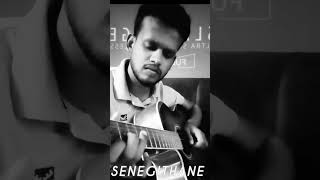 snehithane Alaipayuthey arrahman acoustic guitar vision tamilguitarlessons dhivangguitarlesson [upl. by Rianon]