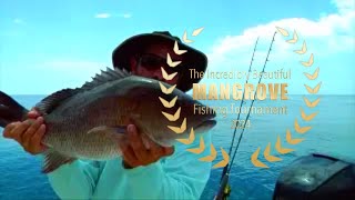 HOW TO CATCH BIG MANGROVE SNAPPER [upl. by Wakerly]