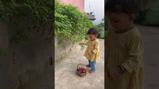 viralvideo flowers torte hue vaani 🌼🪷💐🌸🌺🪻💁‍♀️ [upl. by Atiner764]