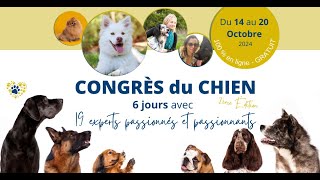 L Avant première du Congrès du Chien 2024 [upl. by Litton621]