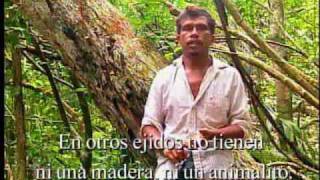 CONABIO Documentales  Cuidar la Selva y hacerla Producir  Si hay solución 67 [upl. by Neron]