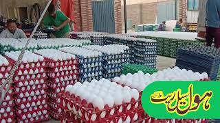 How To Start Poultry business  daily Egg rate  Punjab egg rate today  business ideas online Earn [upl. by Boorman]