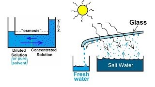 Chemistry  Solutions 52 of 53 Colligative Properties Osmosis and Distillation [upl. by Safoelc681]