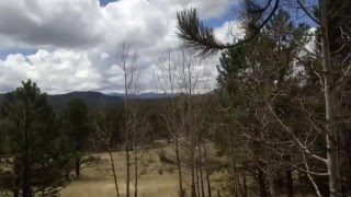 Davis Ponds Loop in Staunton State Park [upl. by Benisch152]