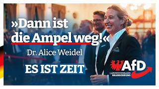 Dr Alice Weidel in Werder Havel [upl. by Brad]