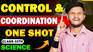 Control and Coordination Class 10 Science  Control and Coordination Full Chapter [upl. by Jasper]