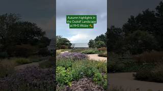 Autumn horticultural highlights in the Piet Oudolf Landscape at RHS Garden Wisley rhs gardening [upl. by Elleinnad]