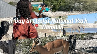 Spend a Day In Etosha National Park 📍 NAMIBIA AFRICAN YOUTUBER [upl. by Nyleimaj]