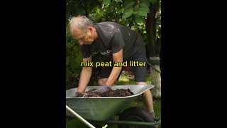 How to plant blueberries in a container [upl. by Giaimo110]