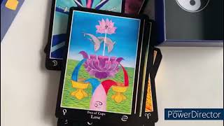 Surfers Paradise Tarot amp Fools Guide to Galaxy  first preview [upl. by Sauncho184]