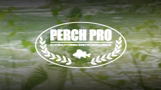 PERCH PRO 10 – TRAILER [upl. by Kirchner]