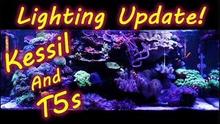 My full Reef Tank Lighting Setup and Schedule Kessil a360x Kessil A160 T5s [upl. by Sou]