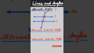 Alternate angles  Alternate interior angles  Alternate exterior angles shorts [upl. by Surtimed]