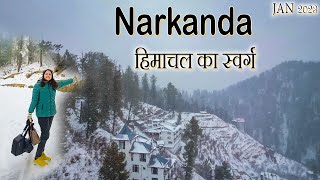 Narkanda  Most Beautiful Place Near Shimla Kufri HimachalTethys Himalaya NarkandaSnowfall 2023 [upl. by Dranreb698]