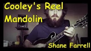 Cooley’s Irish Reel  Mandolin [upl. by Gerfen]