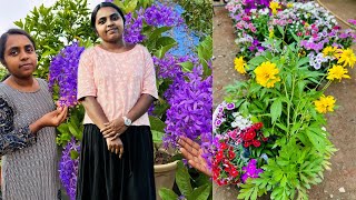 ചെടികൾ ഇനി ആർക്കും കിട്ടാതിരിക്കില്ല 🌼😍 ഏത് ചെടിയും ഓർഡർ ചെയ്യാം ❤️ Wayanadan Touch Garden Plants [upl. by Clinton]