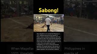 Sabong with history of it in the Philippines information history sabong [upl. by Natek]