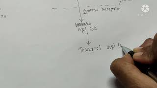 BETA OXIDATION OF FATTYACID IN 5 MIN EASY [upl. by Grannias]