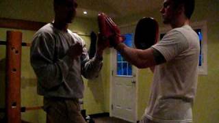 Wing Chun Focus Pads Training  Taan Da Exercise [upl. by Norton]