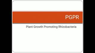 PGPR  Plant Growth Promoting Rhizobacteria  Soil Microflora [upl. by Carlen]