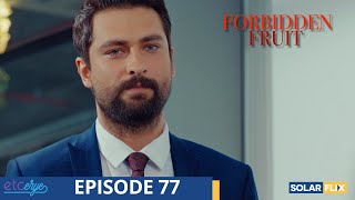 Forbidden Fruit Episode 77  FULL EPISODE  TAGALOG DUB  Turkish Drama [upl. by Rosette]